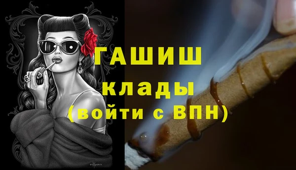 2c-b Инсар