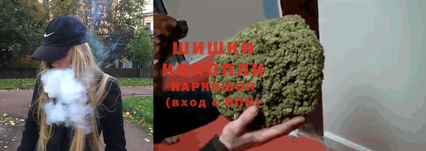 2c-b Инсар