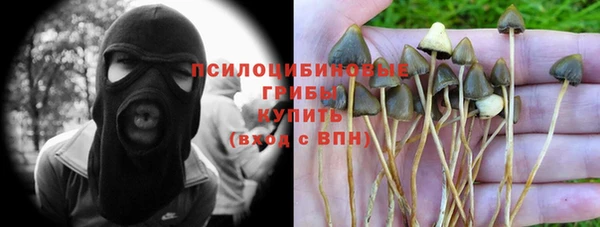 крисы Каменск-Шахтинский