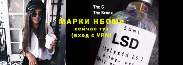 2c-b Инсар