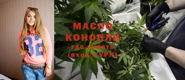 2c-b Инсар