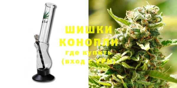 2c-b Инсар